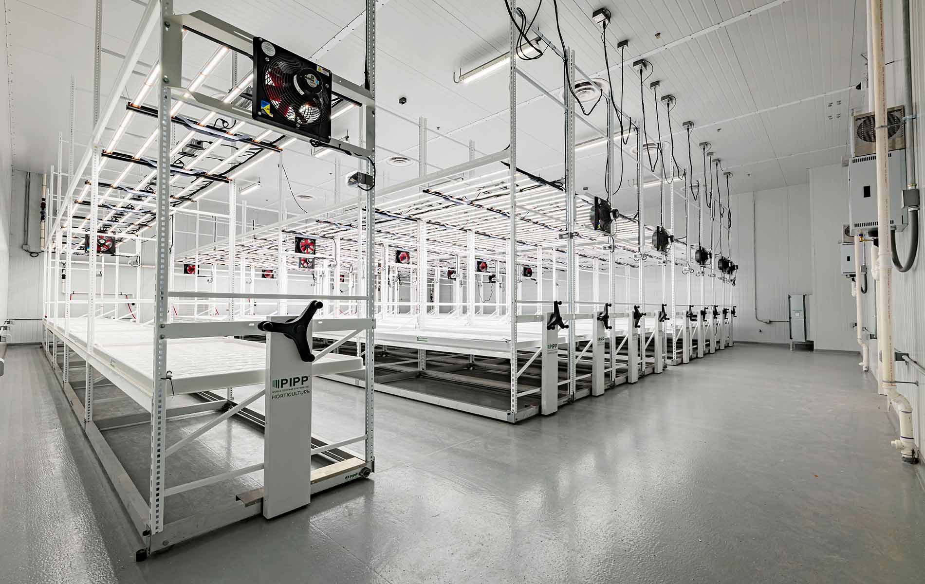 Fine Fettle full room grow facility in Georgia